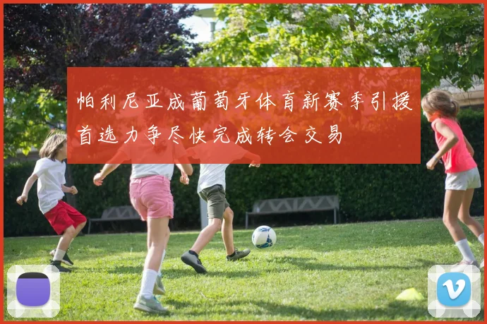 帕利尼亚成葡萄牙体育新赛季引援首选力争尽快完成转会交易