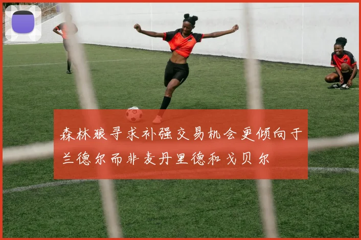 森林狼寻求补强交易机会更倾向于兰德尔而非麦丹里德和戈贝尔